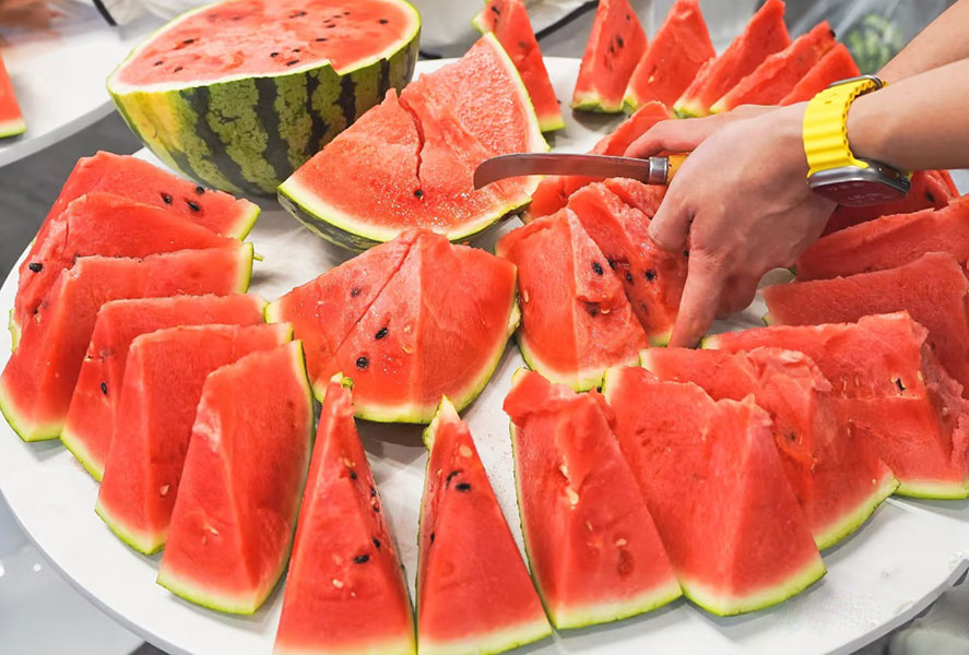 Dulce verano en el taller con cuidado del equipo